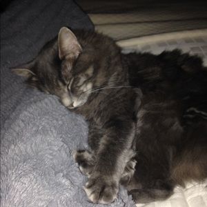 Meet your Posher, Camille